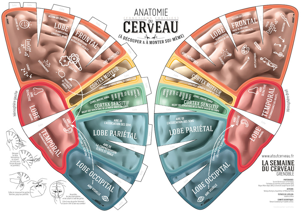 Semaine-du-cerveau-1