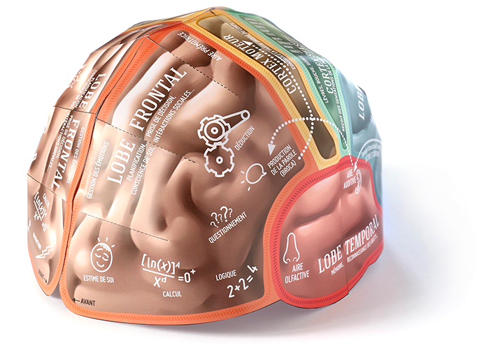 Brain-Hat monté