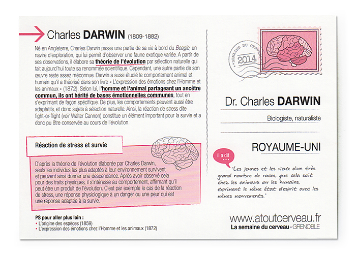 SdC-Carte verso