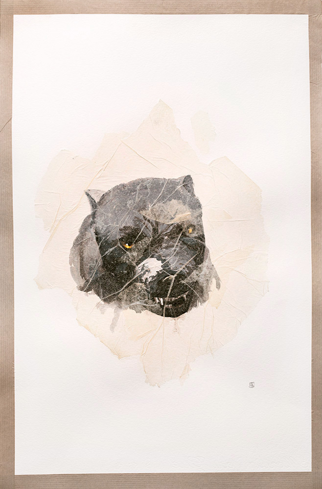 Illustration Nour (étude)-3B