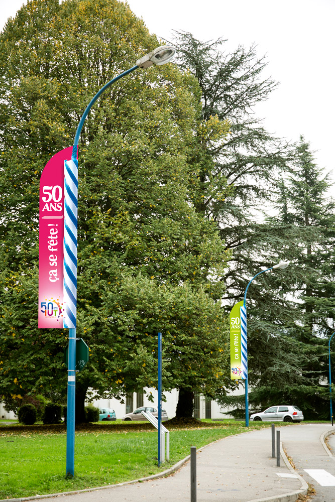 IUT drapeau 50 ans